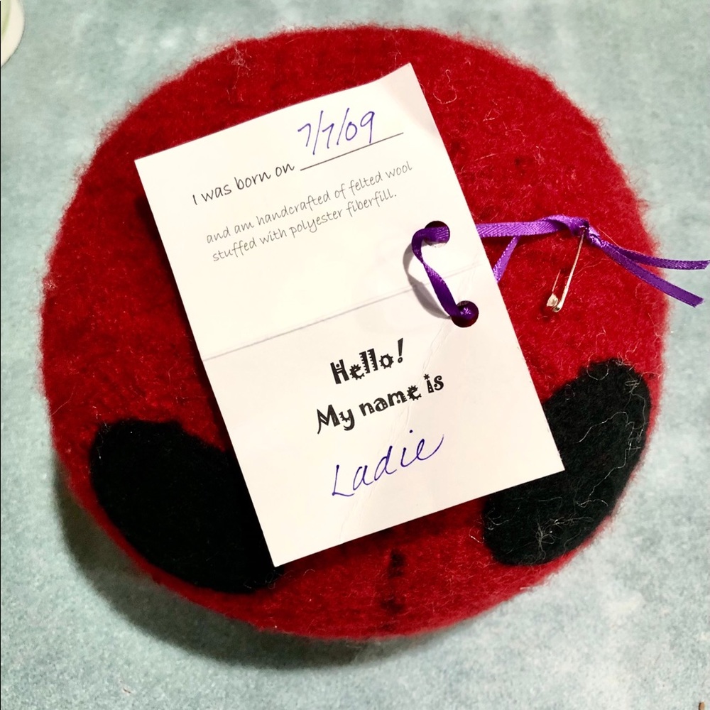 Felted Wool Ladybug - Picture 5 of 5